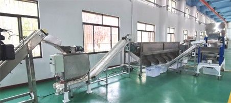 核桃去青皮清洗、提升机